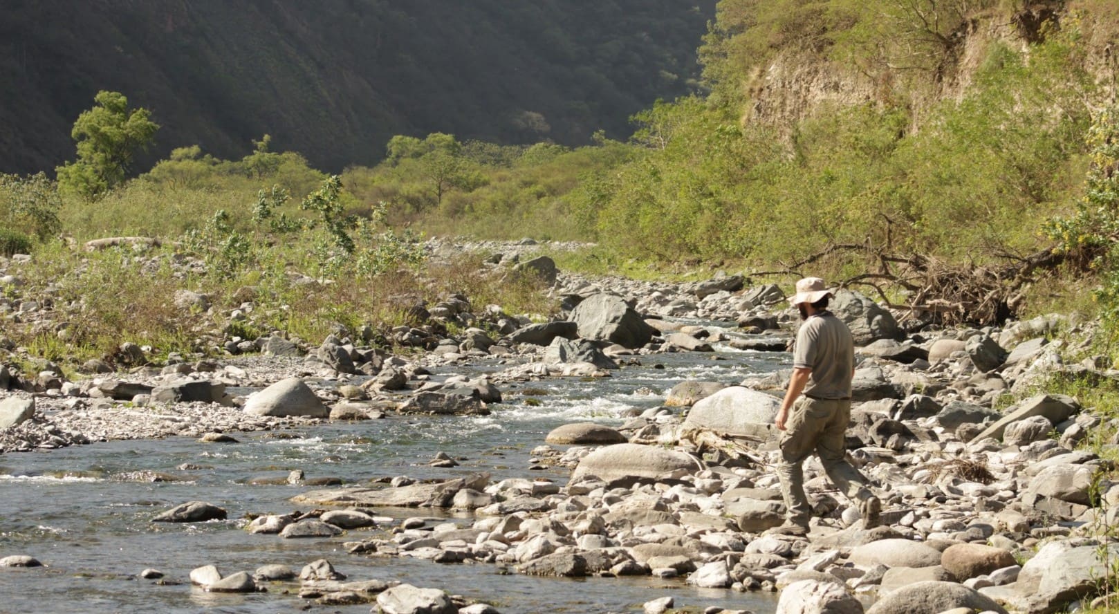 El impacto de los organismos para la determinación de la calidad del agua