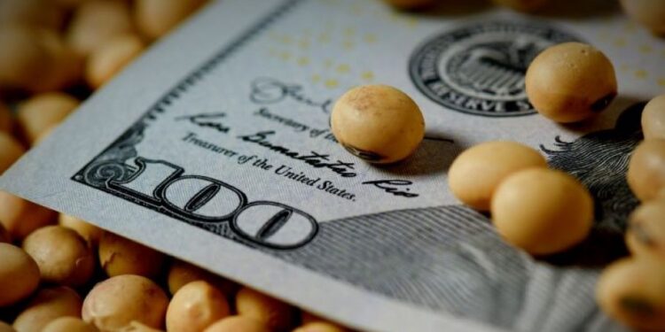 Dólar soja: la liquidación de divisas volvió a caer en abril