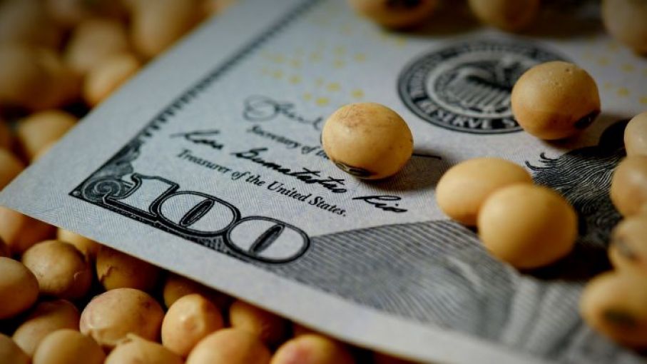 Dólar soja: la liquidación de divisas volvió a caer en abril