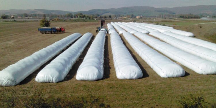 El polo sojero de Rosario utilizará en 2023 menos de la mitad de su capacidad instalada