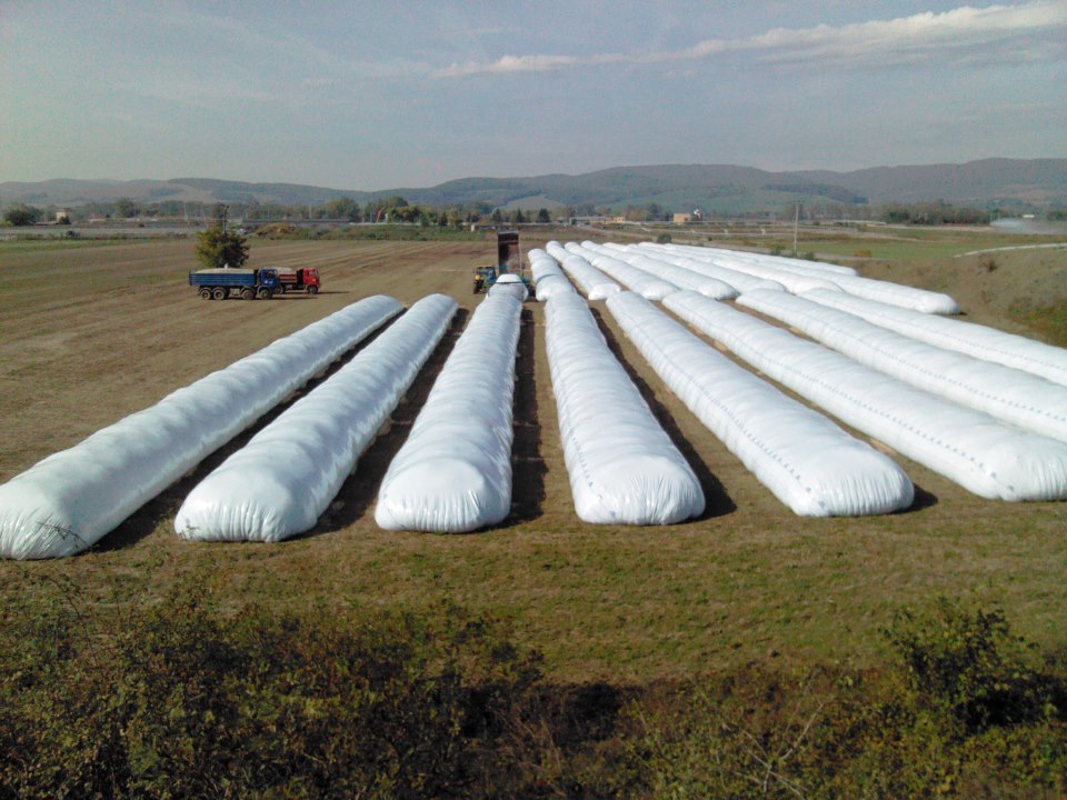 El polo sojero de Rosario utilizará en 2023 menos de la mitad de su capacidad instalada