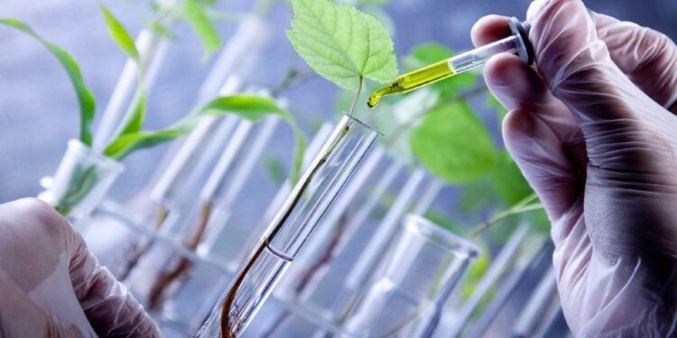 Subsidio millonario para desarrollar un bioinsumo agropecuario