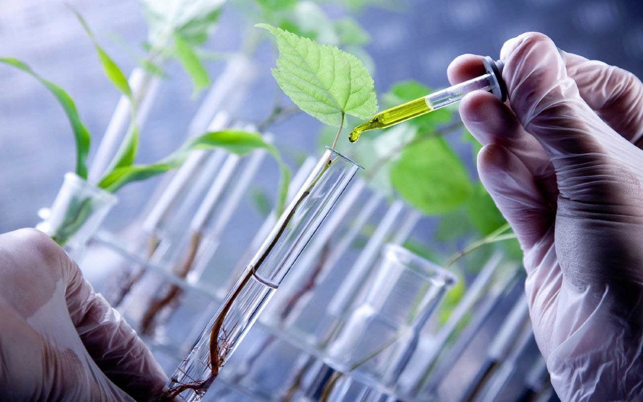 Subsidio millonario para desarrollar un bioinsumo agropecuario