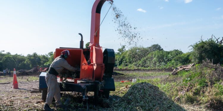 Tafi Viejo: Ciudad líder en la sostenibilidad ambiental