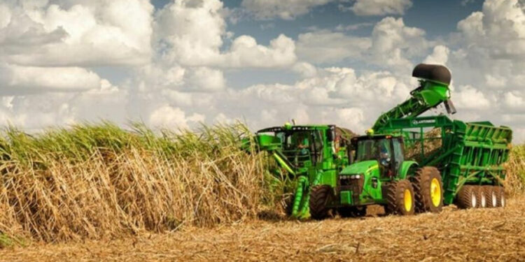Perspectivas y desafíos en el inicio de la zafra en el Ingenio Leales