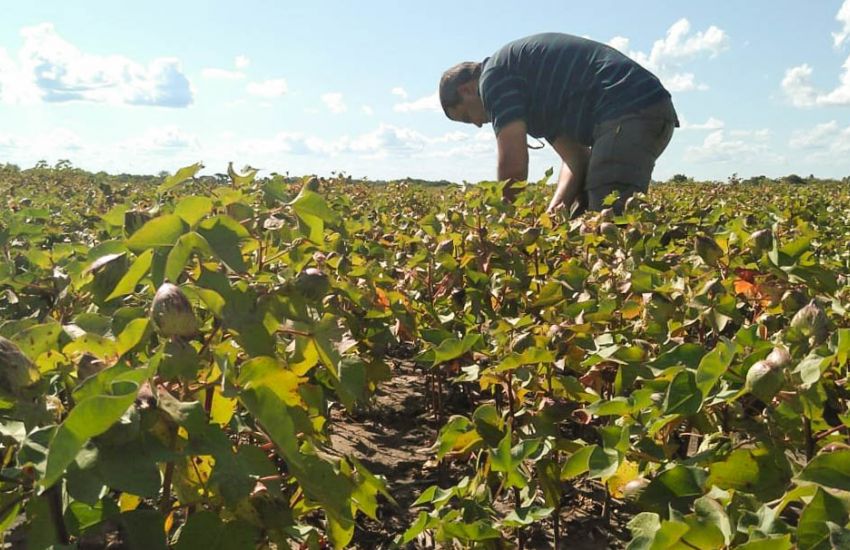 Acuerdan un aumento del 30% para trabajadores de semilleros