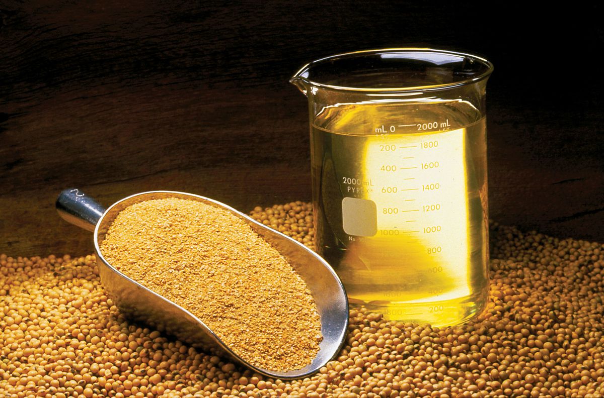 Los precios del aceite de soja siguieron subiendo, pero no resultaron suficientes para revertir la tendencia bajista