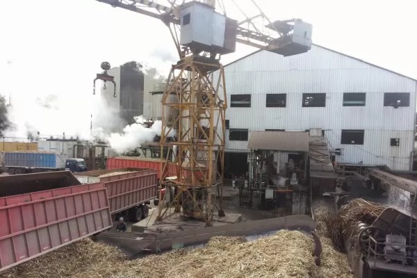 La zafra azucarera avanza con dificultades y bajos rindes