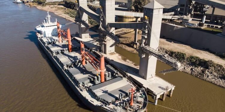 Sequía: las exportaciones del campo serán en volumen las más bajas de los últimos 15 años
