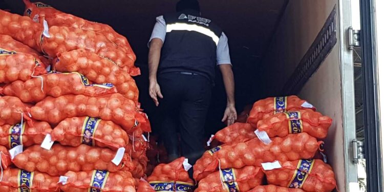 Retienen 28 toneladas de cebolla que tenían a Brasil como destino final