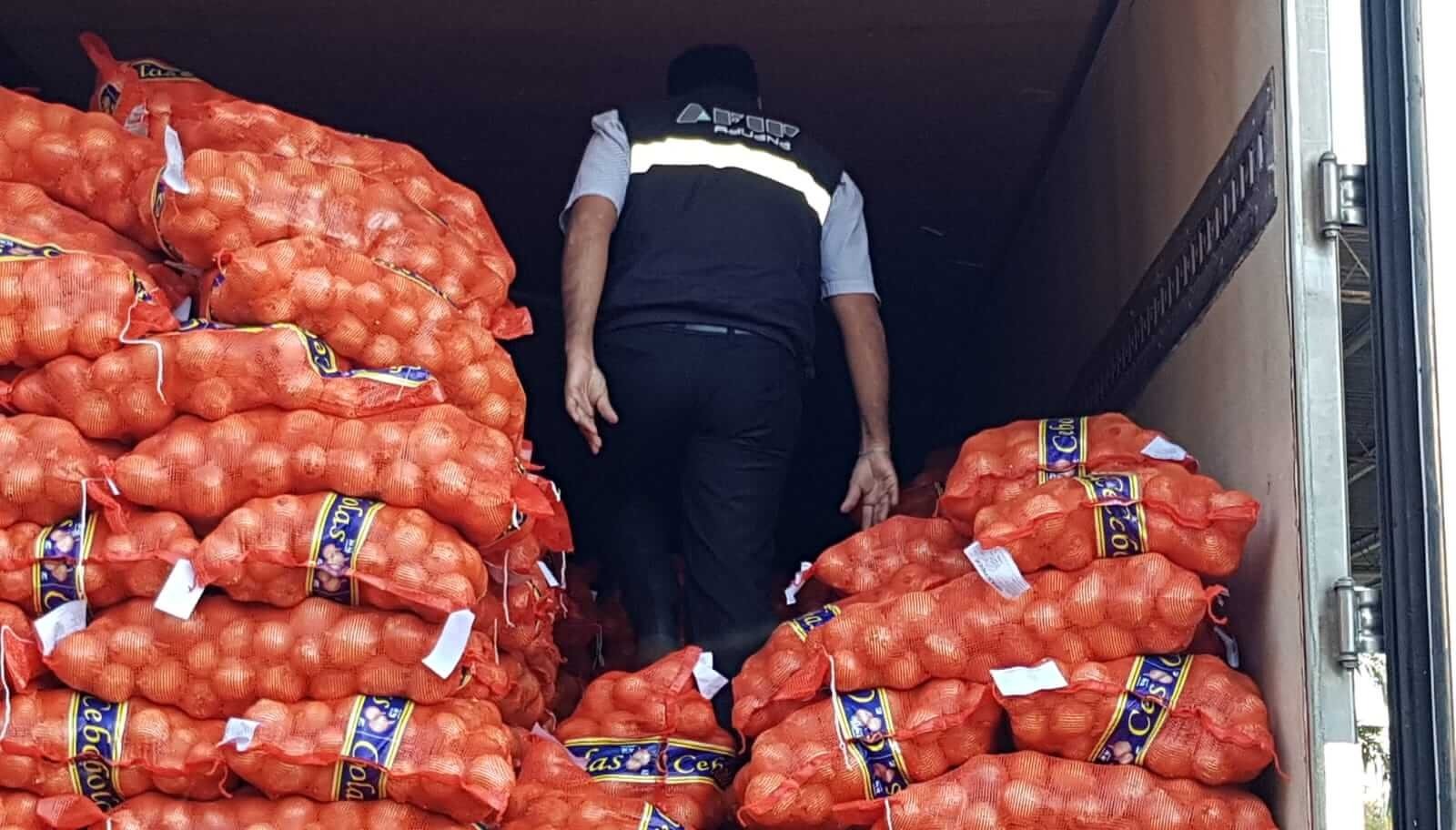 Retienen 28 toneladas de cebolla que tenían a Brasil como destino final