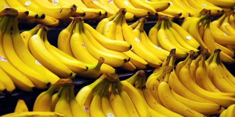 Mendoza: El Laboratorio comenzó a analizar plagas en bananas que provienen de Ecuador y Colombia
