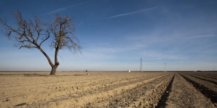 Siguen sin aparecer pronósticos de precipitaciones abundantes en un sector clave del Medio Oeste