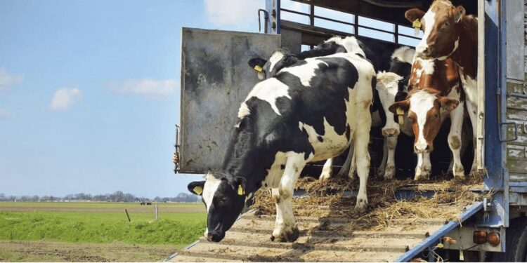 El campo rechaza el nuevo requisito para el movimiento de hacienda