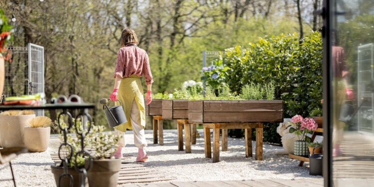 ¿Qué es el traspatio? Todos somos imprescindibles para cuidar la sanidad agropecuaria