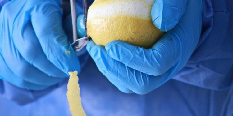 Iltico: un limoncello made in Tucumán