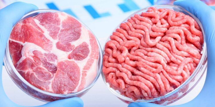 Dos empresas ya están habilitadas para vender «carne» cultivada en laboratorio