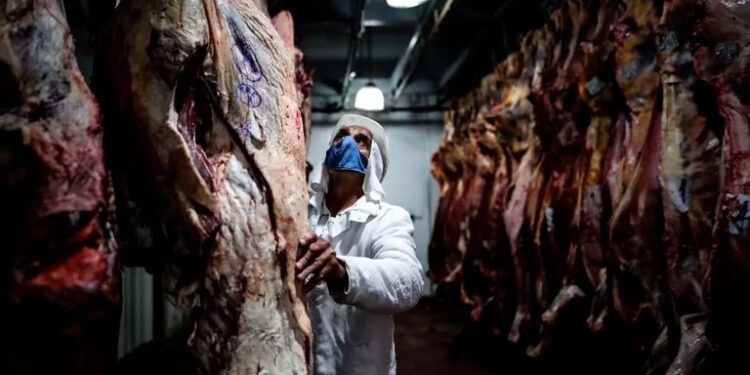 Preocupación en la industria frigorífica: en mayo los dólares ingresados por la exportaciones de carne cayeron un 20% interanual