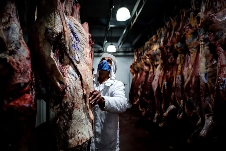 Preocupación en la industria frigorífica: en mayo los dólares ingresados por la exportaciones de carne cayeron un 20% interanual