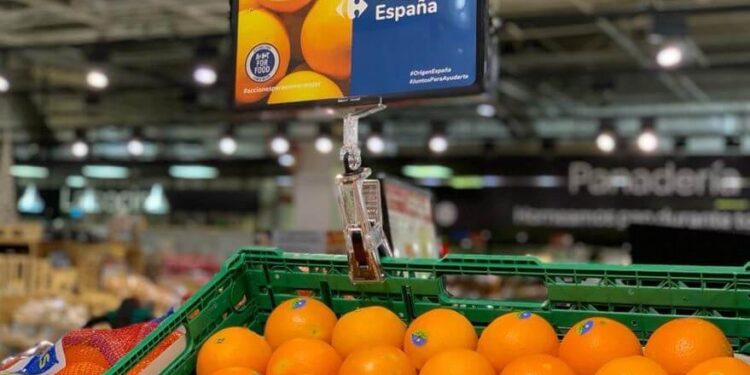 En España le tienen miedo al HLB y ponen la mira en los cítricos del Mercosur