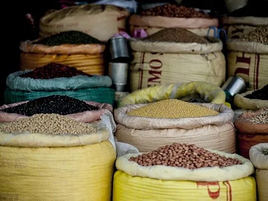 Legumbres: esperan buenos precios al menos hasta fin de año