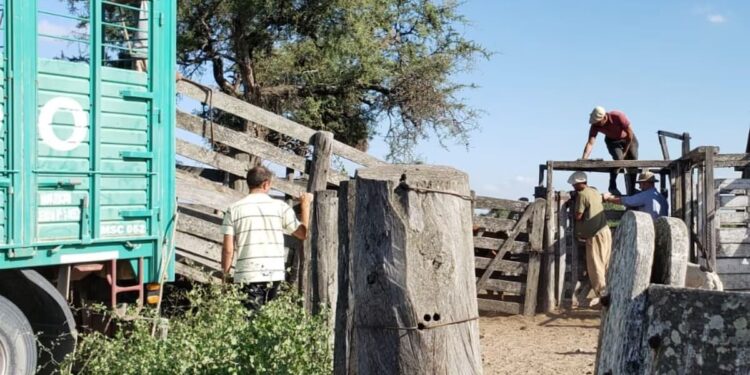 Nueve entidades del campo proponen hacer un paro por una medida oficial
