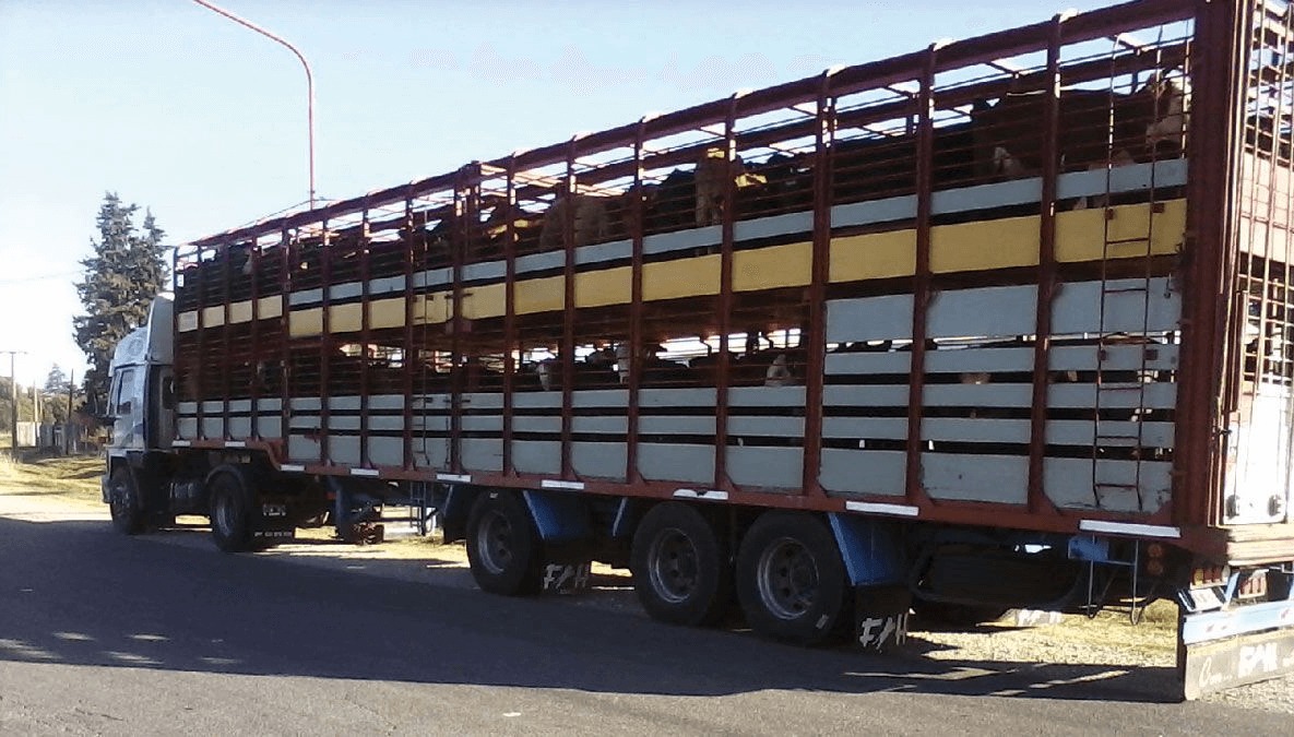 Transporte de hacienda: el Senasa suspendió la resolución duramente cuestionada por el agro