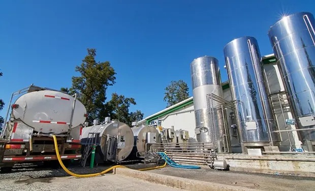 ¿Combustible de leche? Avanza el biocombustible con «menos carbono del mundo»