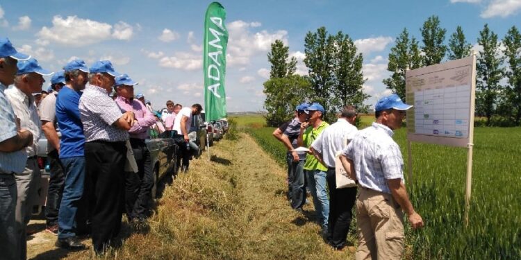Con estrategias innovadoras y colaborativas, desde ADAMA impulsan el desarrollo agropecuario en la región NOA