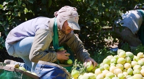 El gobierno busca fomentar empleo registrado en las economías regionales