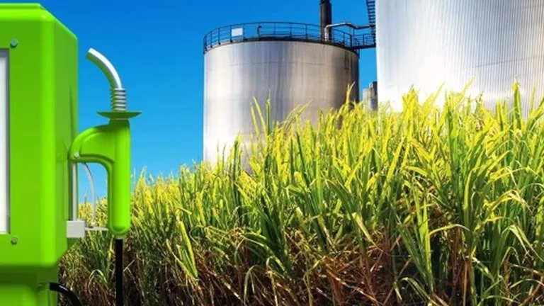 Biotecnología y economía del conocimiento: qué necesita la Argentina para convertirse en un actor de primer nivel mundial