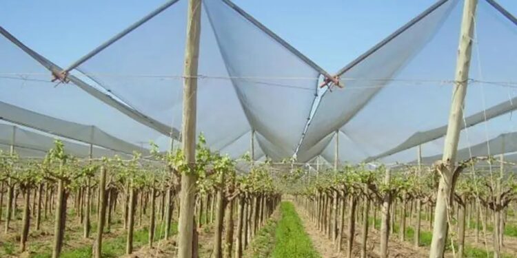 Agricultura circular: las mallas antigranizo se convierten en materiales de construcción