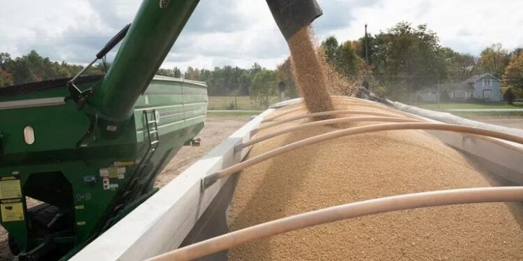 Exportadores estiman que todavía faltan comercializar granos por el valor de USD 9.230 millones