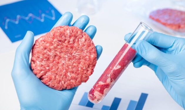 El negocio de la carne sintética: Biotech Foods recibió 19 millones de subvenciones públicas sin ingresos