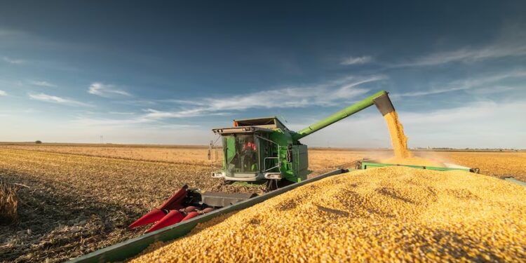 El avance de la cosecha récord de maíz en Brasil presiona sobre los precios y un sistema de acopio colapsado