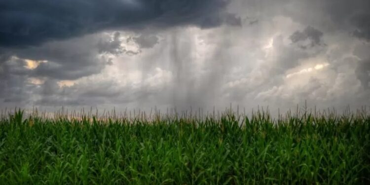 Tras un junio seco, las lluvias tenderían a normalizarse