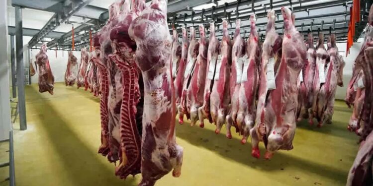 Argentina amplía los mercados de exportación de carne y genética bovina a Barbados y Costa Rica