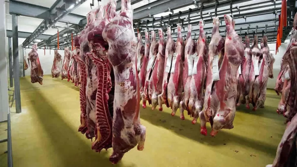Argentina amplía los mercados de exportación de carne y genética bovina a Barbados y Costa Rica