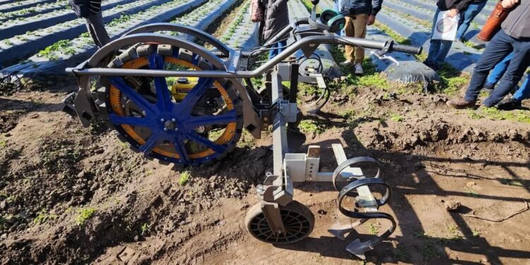 El Microtractor ‘Chango’: innovación agrícola en pequeñas dimensiones con grandes resultados
