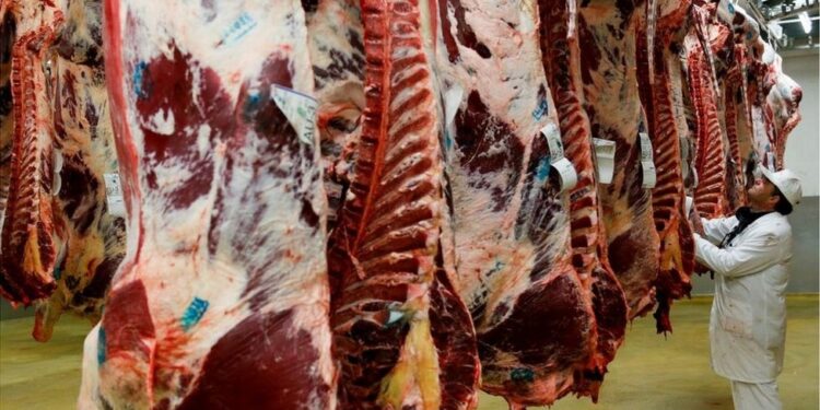 Brasil es el país de la carne: este año se quedará con el 25% del comercio mundial de carne vacuna, el 35% de las exportaciones de pollo y sus embarques de cerdo crecerán un 8%