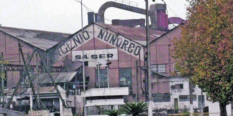 Crisis en la zafra azucarera: en Tucumán más de la mitad de los ingenios pararon por las lluvias