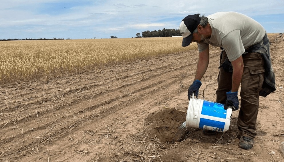 Sequía: Córdoba prorrogó hasta febrero de 2024 la emergencia agropecuaria