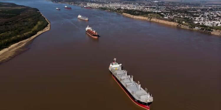 Argentina perdió exportaciones de trigo por US$4375 millones y Brasil le dio una sorpresa