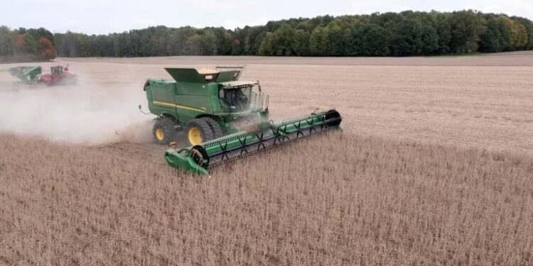 El campo hacia un nuevo modelo de desarrollo económico