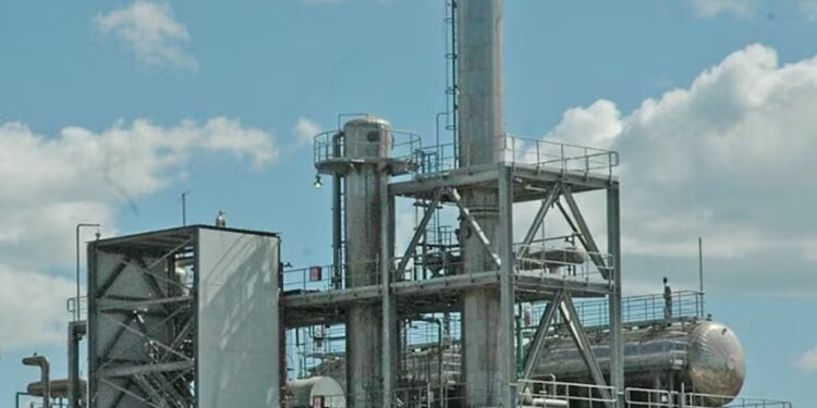 Presentaron un proyecto de ley para que el gasoil tenga un 20% de biodiésel