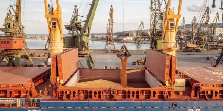 Los cereales sintieron el impacto de nuevos bombardeos rusos sobre puertos cerealeros en Ucrania