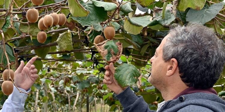 El gobierno invertirá U$S 800.000 para impulsar clusters productivos exportadores
