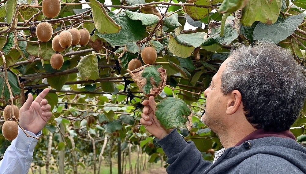 El gobierno invertirá U$S 800.000 para impulsar clusters productivos exportadores