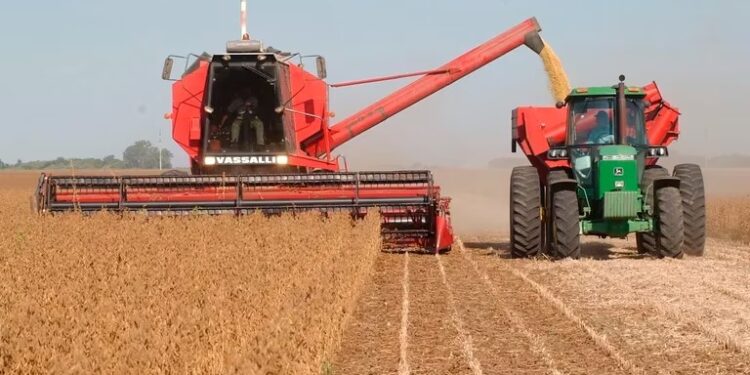 El golpe de la sequía: hubo récord de importación de soja mientras cayó al mínimo la exportación de trigo