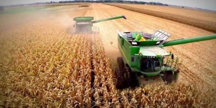 Más impuestos al campo: los detalles de la medida que puede afectar la oferta de fertilizantes y fitosanitarios